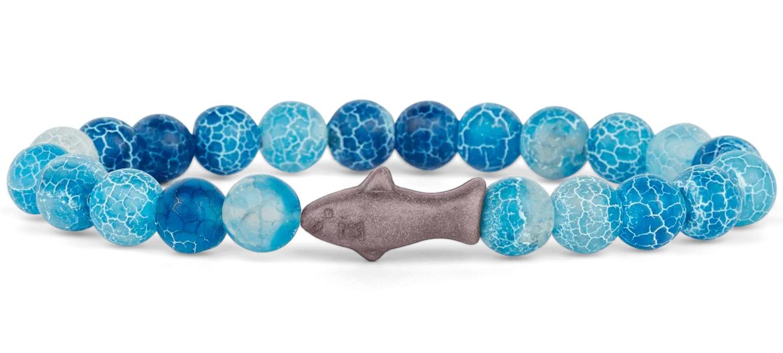 Aqua Blue Shark