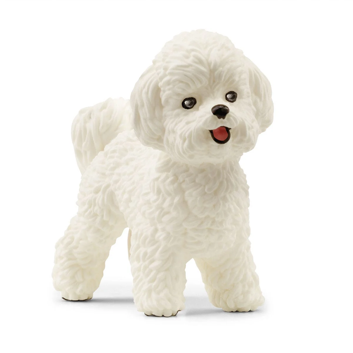 Bichon Frise 23 Bichon Frise