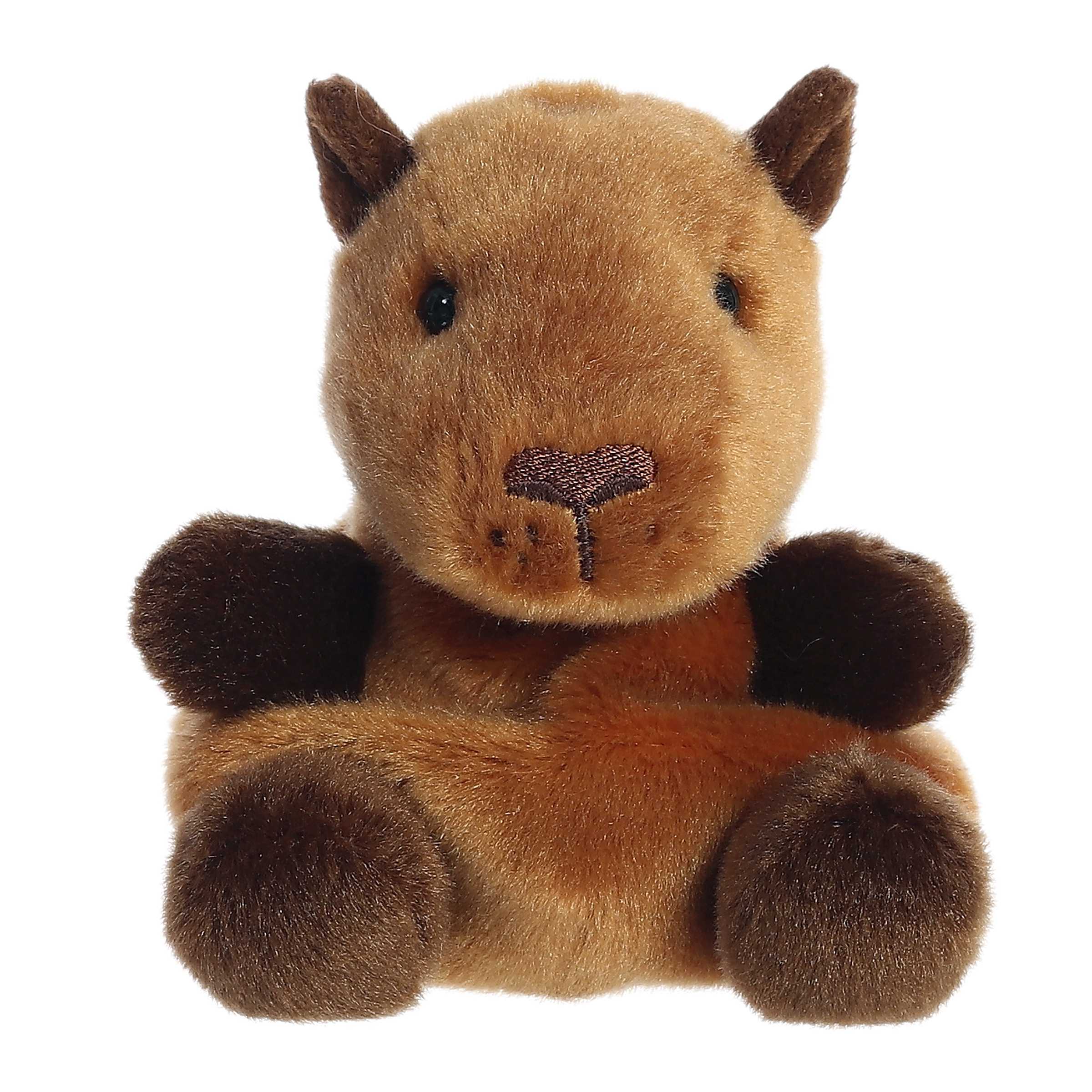 Sid Capybara Palm Pals 10 Sid Capybara Palm Pals