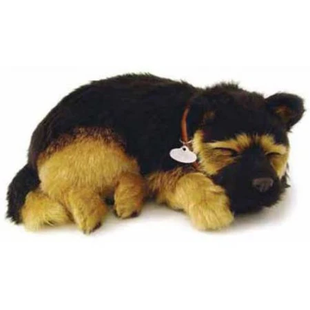 German Shephard Perfect Petzzz 9 German Shephard Perfect Petzzz