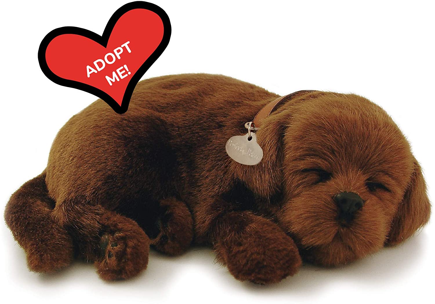 Chocolate Lab Perfect Petzzz 4 Chocolate Lab Perfect Petzzz