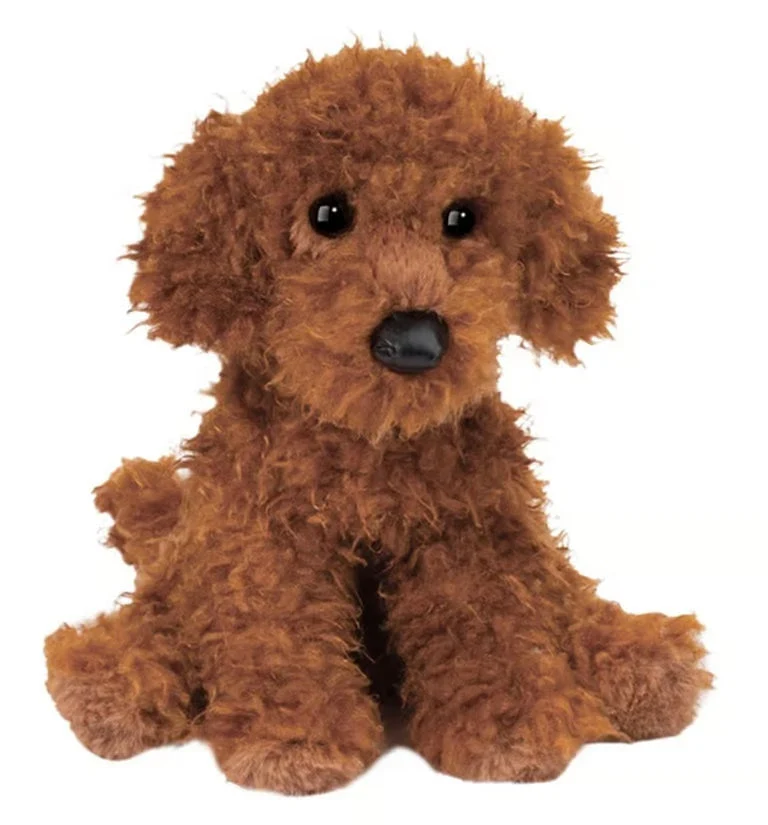 Ginger Miniature Poodle 2 Ginger Miniature Poodle