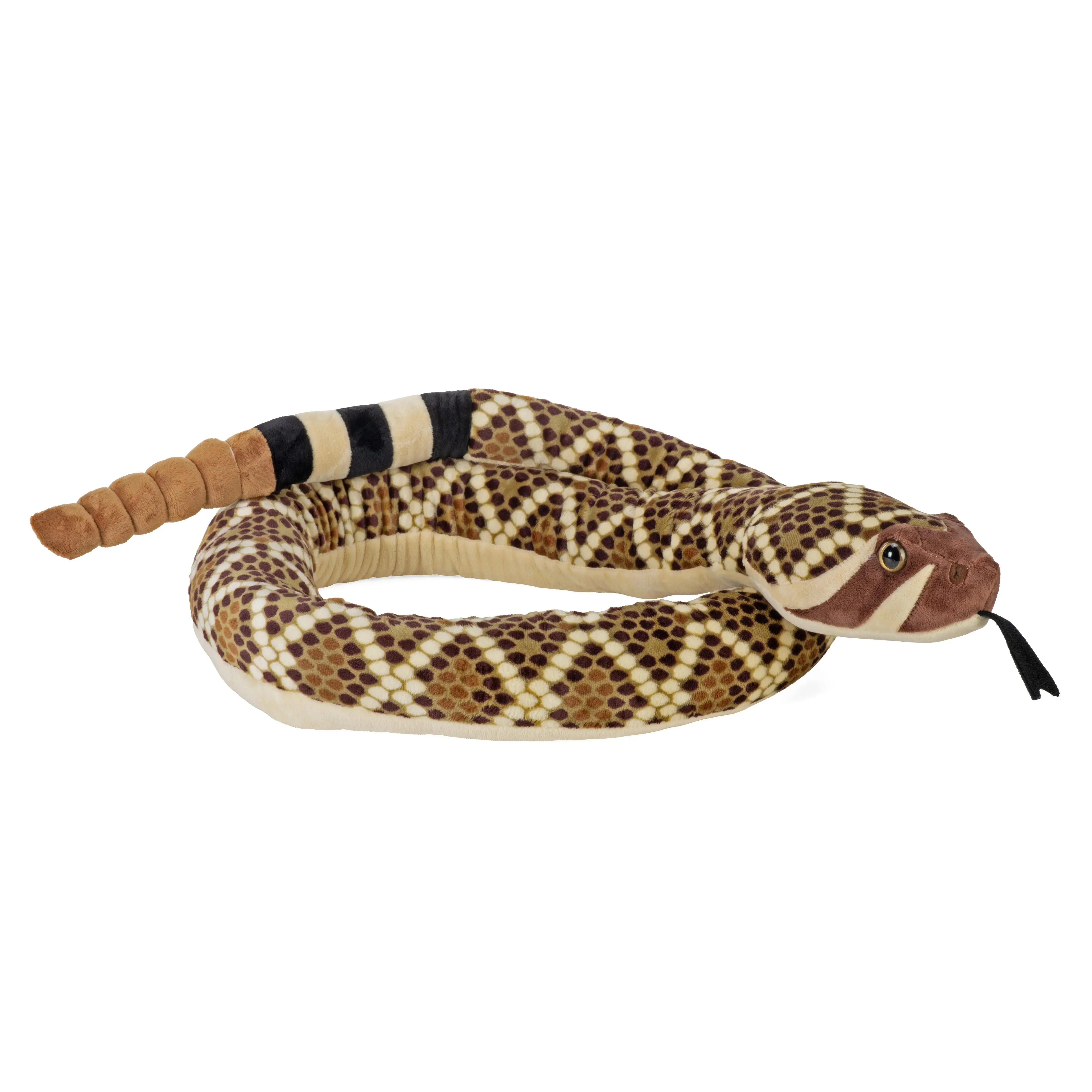 Snake Big Head West Diamondback 3 Snake Big Head West Diamondback