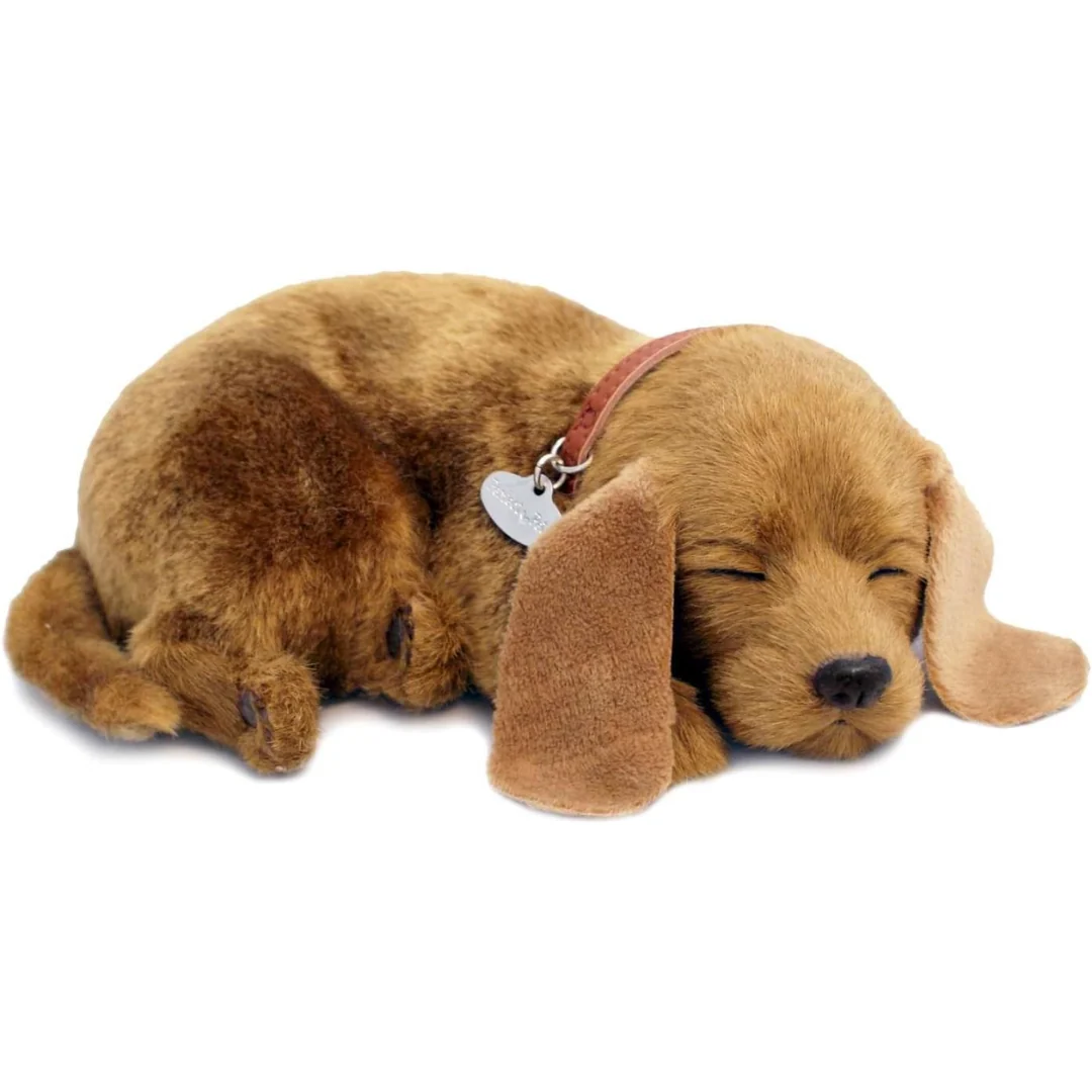 Mutt Puppy Perfect Petzzz 3 Mutt Puppy Perfect Petzzz