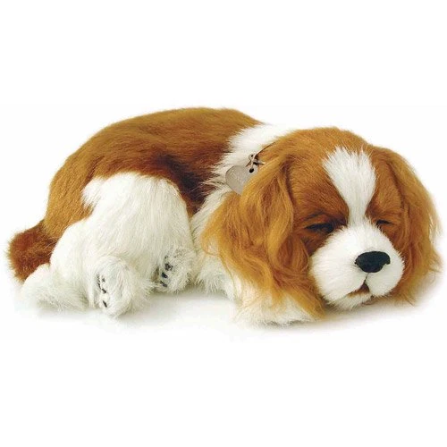 Cavalier King Charles Perfect Petzzz 2 Cavalier King Charles Perfect Petzzz