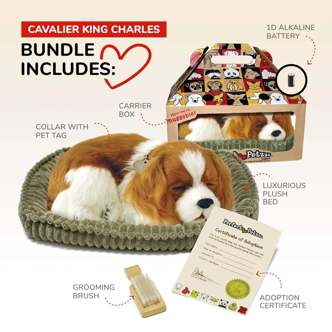 Cavalier King Charles Perfect Petzzz 3 Cavalier King Charles Perfect Petzzz