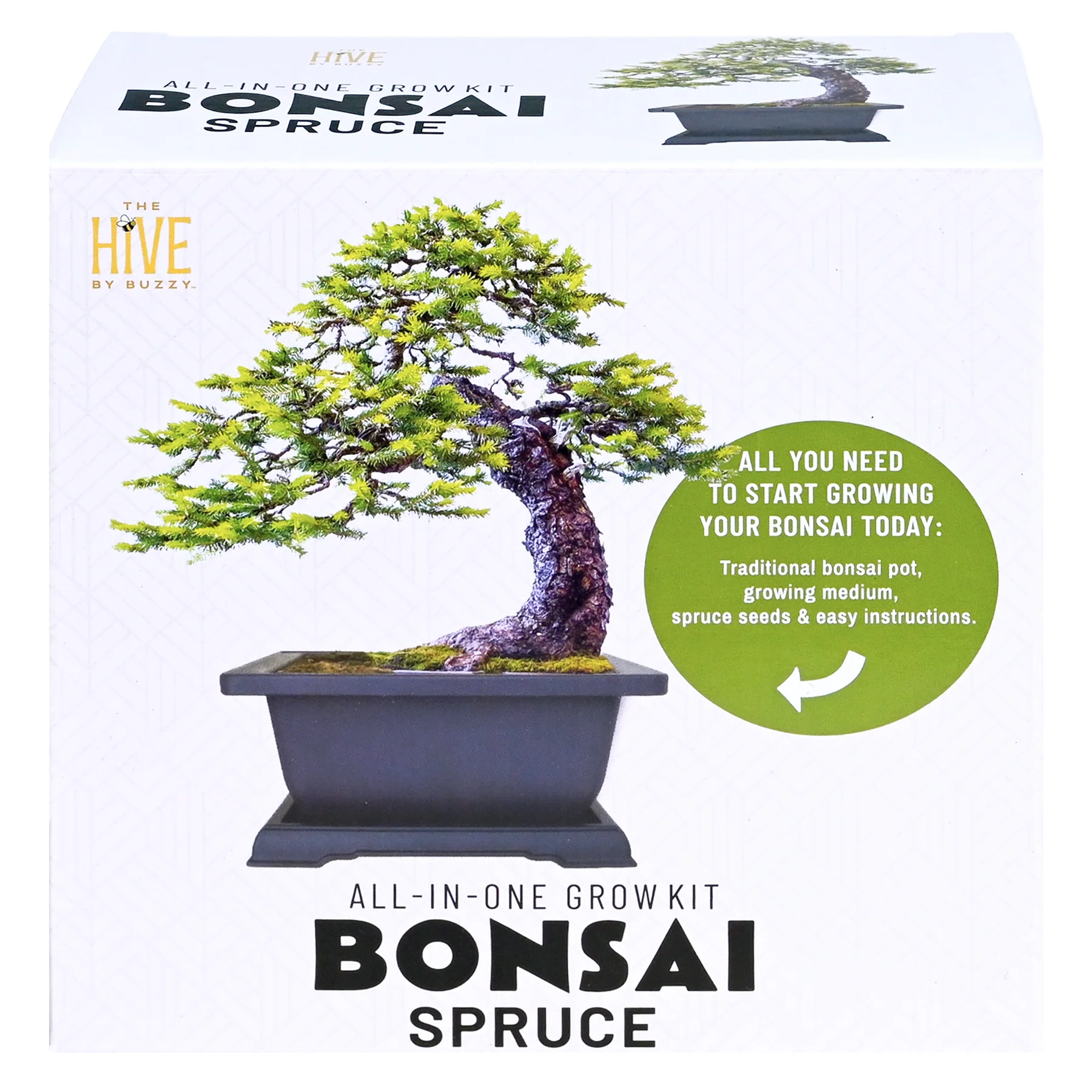 Bonsai Spruce Grow Kit