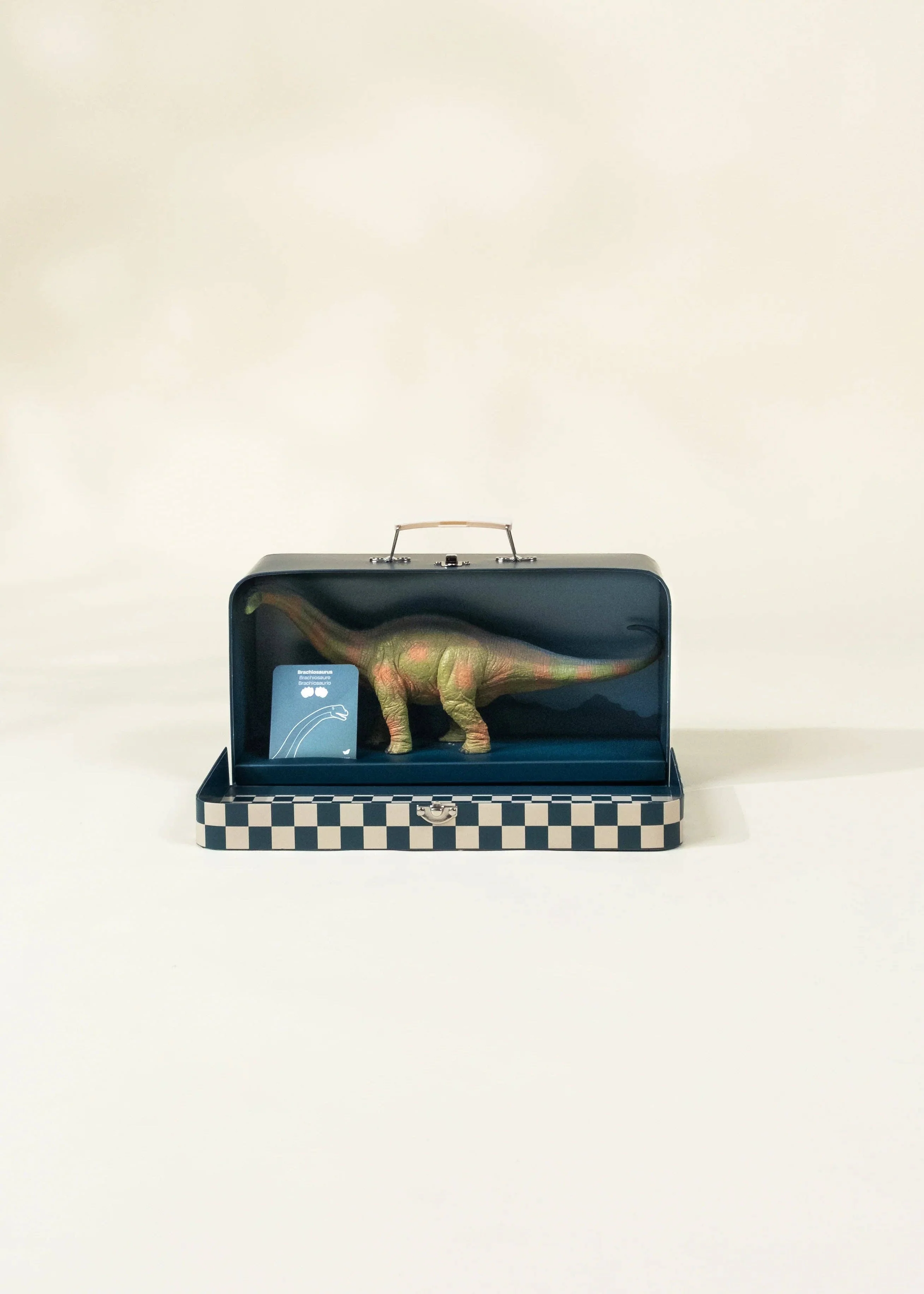 Brachiosaurus Dinosaur in a Collectible Box