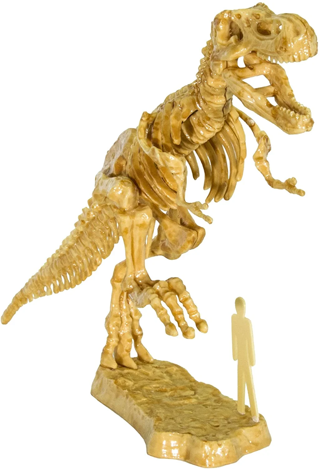 3d T Rex Excavation Kit 36 3d T Rex Excavation Kit