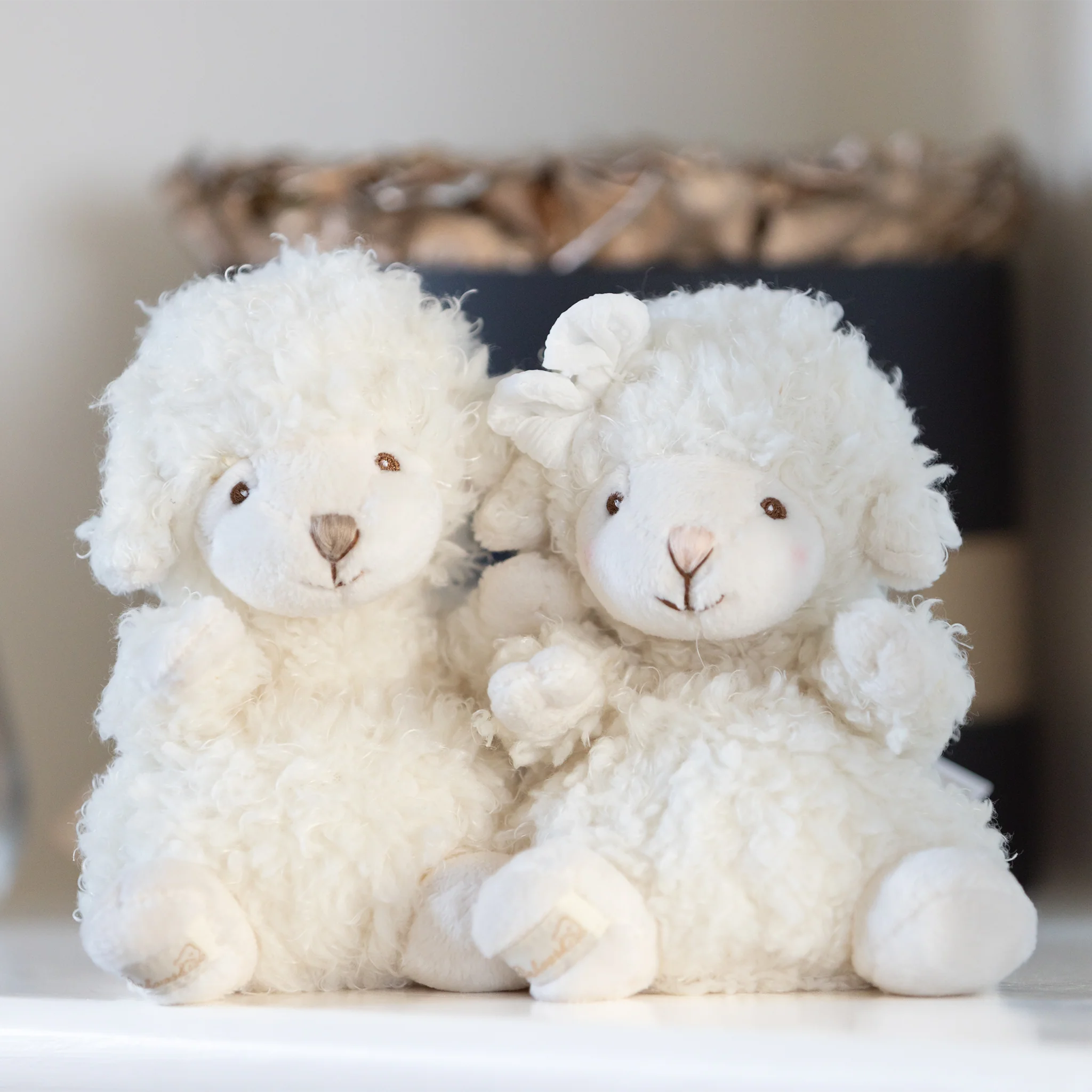 Adorable Bukowski Bears Baby Mack White Plush Lamb Stuffed Animal