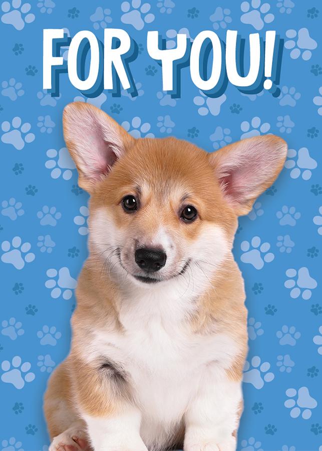 Adorable Golden Puppy Mini Gift Enclosure Card with Envelope 1 Adorable Golden Puppy Mini Gift Enclosure Card with Envelope