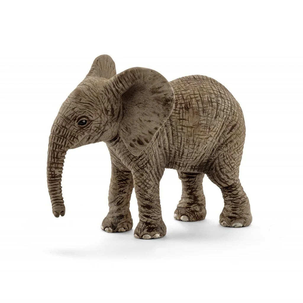 African Elephant Calf 5 African Elephant Calf