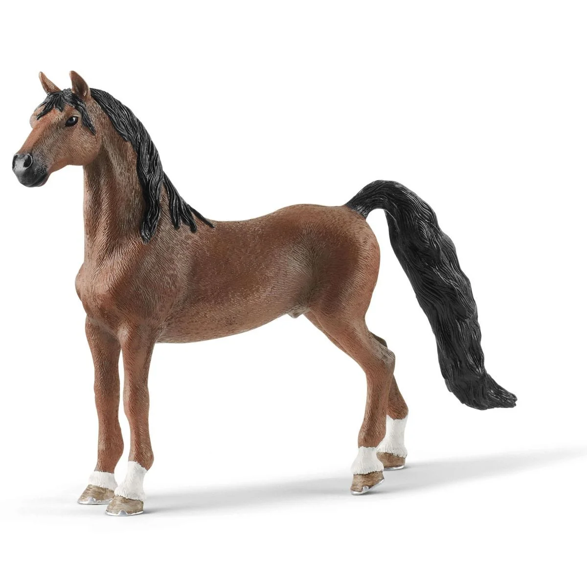 American Saddlebred Geldi 3 American Saddlebred Geldi
